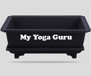 plants tray in gurgaon