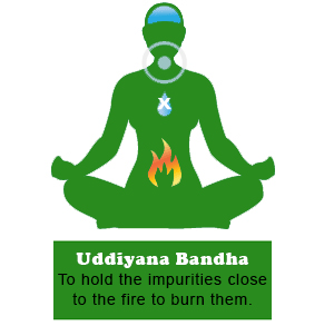 Uddiyana Bandha Yoga in Gurgaon